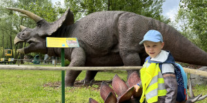 DinoPark - 1748595648_IMG_3952.jpeg