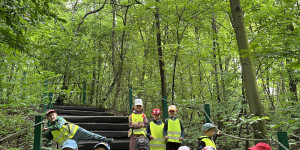 DinoPark - 1748595769_IMG_3973.jpeg