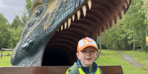 DinoPark - 1748596015_IMG_4044.jpeg