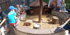 Školní výlet - 1750258620_1000017173.jpg