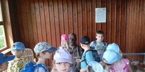 Školní výlet - 1750258786_1000017218.jpg