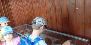 Školní výlet - 1750258788_1000017219.jpg