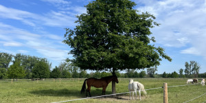 Medvídci výletníci - 1750711130_IMG_2730.jpeg
