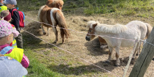 Medvídci výletníci - 1750711219_IMG_2731.jpeg