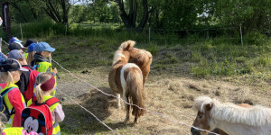 Medvídci výletníci - 1750711223_IMG_2732.jpeg