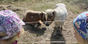 Medvídci výletníci - 1750711226_IMG_2733.jpeg