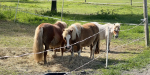 Medvídci výletníci - 1750711229_IMG_2735.jpeg