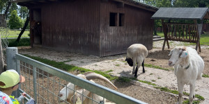 Medvídci výletníci - 1750711258_IMG_2767.jpeg