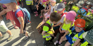Návštěva minizoo - 1750711851_IMG_4280.jpeg