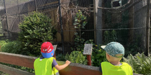 Návštěva minizoo - 1750711906_IMG_4282.jpeg