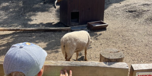 Návštěva minizoo - 1750711915_IMG_4290.jpeg