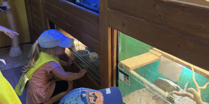 Návštěva minizoo - 1750711927_IMG_4300.jpeg