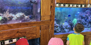 Návštěva minizoo - 1750711930_IMG_4299.jpeg