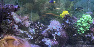 Návštěva minizoo - 1750711932_IMG_4297.jpeg