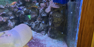 Návštěva minizoo - 1750711934_IMG_4296.jpeg