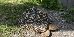 Návštěva minizoo - 1750711943_IMG_4306.jpeg