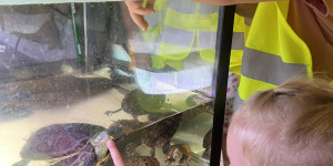 Návštěva minizoo - 1750711947_IMG_4304.jpeg