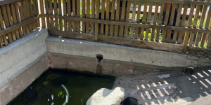 Návštěva minizoo - 1750711954_IMG_4311.jpeg