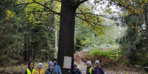 Přání svému oblíbenému stromu - 1760464917_IMG_20251014_101217.jpg