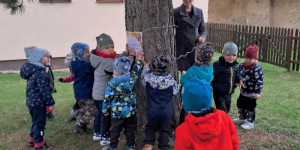 Přání svému oblíbenému stromu - 1760892966_20251014_094617.jpg