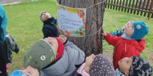 Přání svému oblíbenému stromu - 1760892973_IMG-20251015-WA0003.jpg