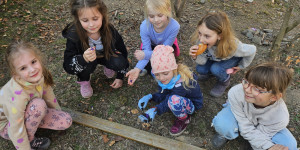 Jarní badatelská mise „Kdo probudil jaro?“ - 1773241039_1000054287.jpg