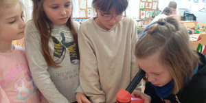 Jarní badatelská mise „Kdo probudil jaro?“ - 1773407161_1000031727.jpg