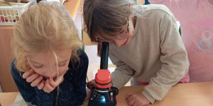 Jarní badatelská mise „Kdo probudil jaro?“ - 1773407206_1000031723.jpg