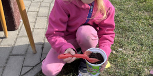 Můj domeček se zahrádkou (osení) - 1773405484_IMG_6623.jpeg