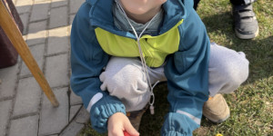 Můj domeček se zahrádkou (osení) - 1773405792_IMG_6635.jpeg