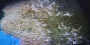 Unisféra Opava - Tajemný oceán 3D - 1773857012_1000054582.jpg