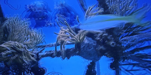 Unisféra Opava - Tajemný oceán 3D - 1773857039_1000054584.jpg