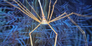 Unisféra Opava - Tajemný oceán 3D - 1773857050_1000054587.jpg