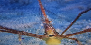 Unisféra Opava - Tajemný oceán 3D - 1773857053_1000054588.jpg