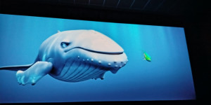 Cinestar- Velrybí píseň - 1774014576_1000025209.jpg