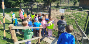 Procházka do zahradnictví - 1774293469_1000025288.jpg