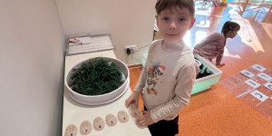 Hody, hody, doprovody - 1774783217_IMG_6712.jpeg