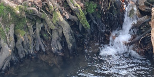 Projektový den vody - 1775916926_1000032798.jpg