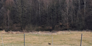 Projektový den vody - 1775916941_1000032808.jpg