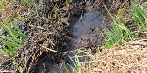 Projektový den vody - 1775916949_1000032813.jpg