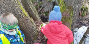 Projektový den vody - 1775917020_1000032847.jpg