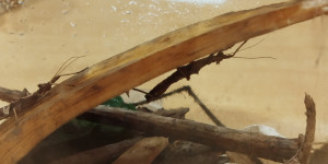 Davídek slaví narozeniny - 1776331412_1000026069.jpg