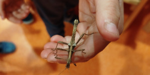 Davídek slaví narozeniny - 1776331413_1000026070.jpg