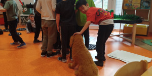 Pes korálek - 1776318668_1000026035.jpg