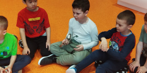 Pes korálek - 1776318685_1000026043.jpg